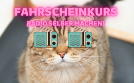 Katzemit Schriftzug und Radios vor den Augen