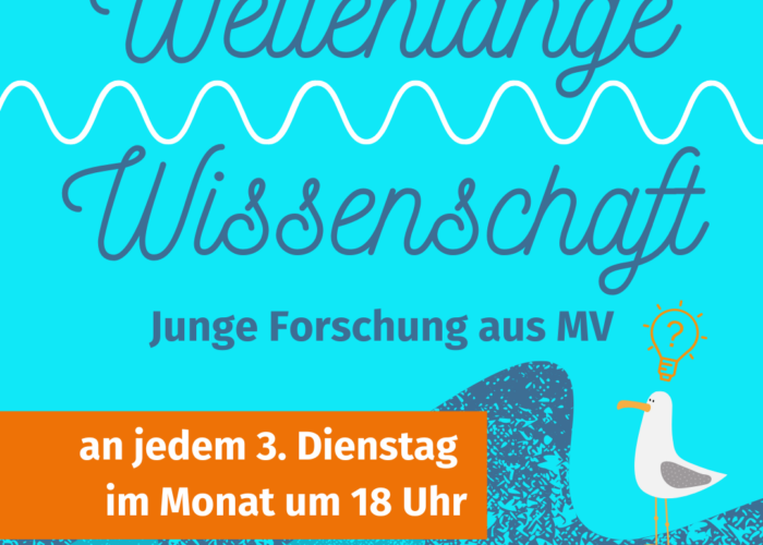 Schrift mit Möwe und Wellen
